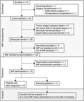 Assessment of Immune Response Following Dendritic Cell-Based Immunotherapy in Pediatric Patients With Relapsing Sarcoma